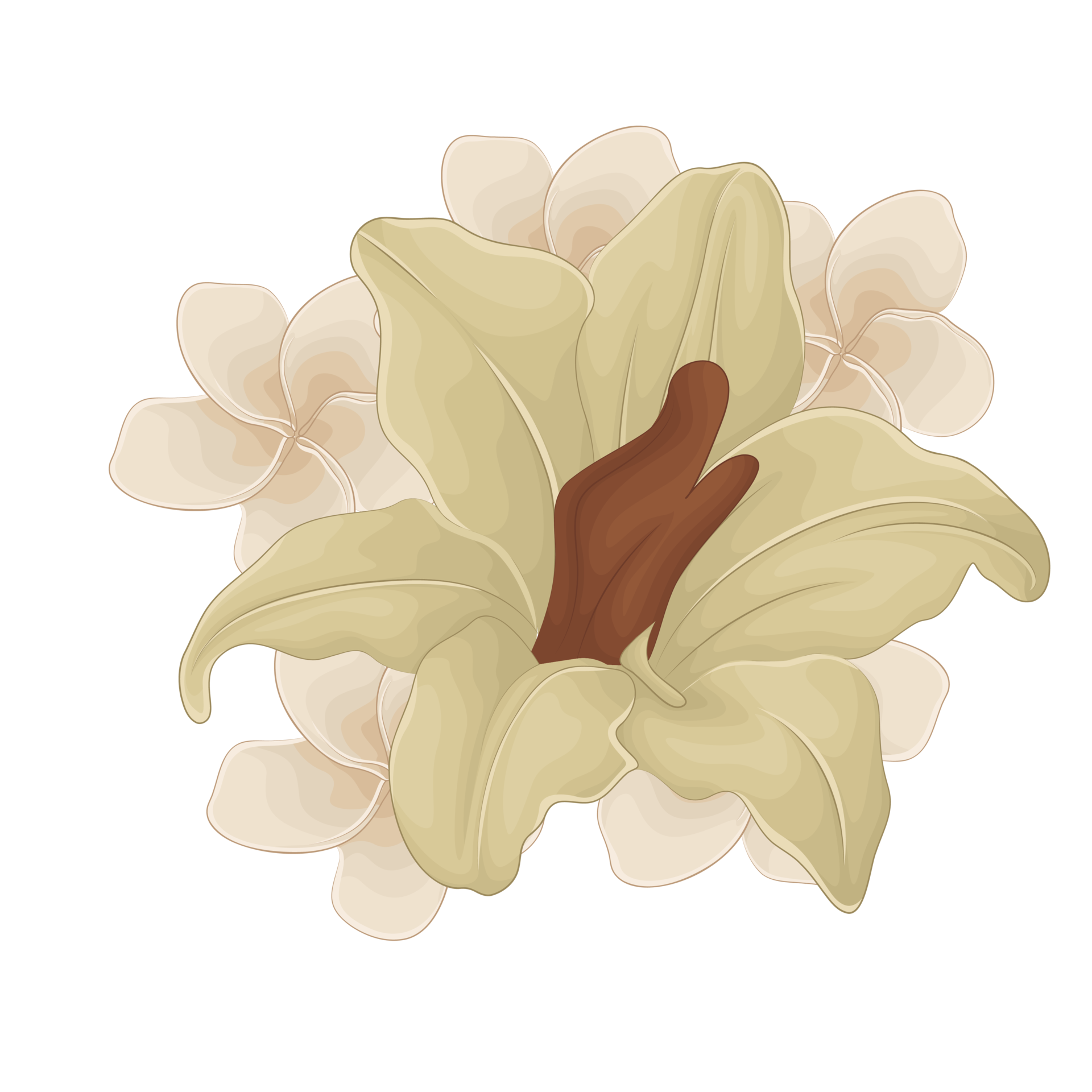 Illustration of flower 36132223 PNG