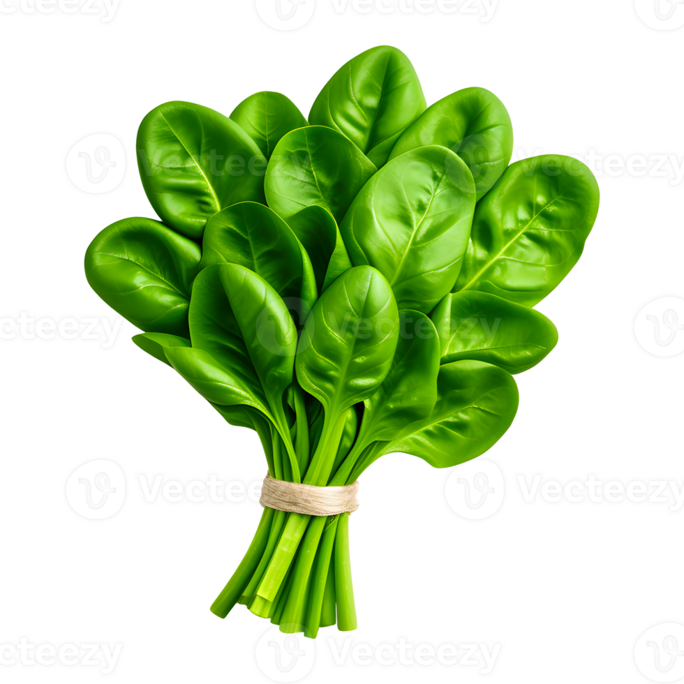 AI generated Fresh Spinach Bundle Isolated on Transparent Background png