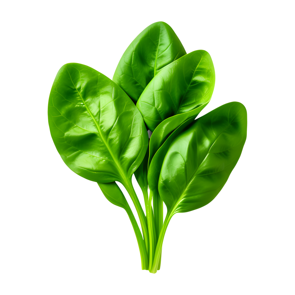 AI generated Fresh Spinach Isolated on Transparent Background png