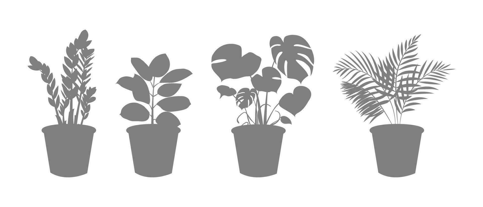 Decorative indoor plants in a pot silhouette. Zamiokulkas Dollar Tree, Ficus and Monstera, palm plant in pot. Home flowers icons for gardening. Vector illustration.