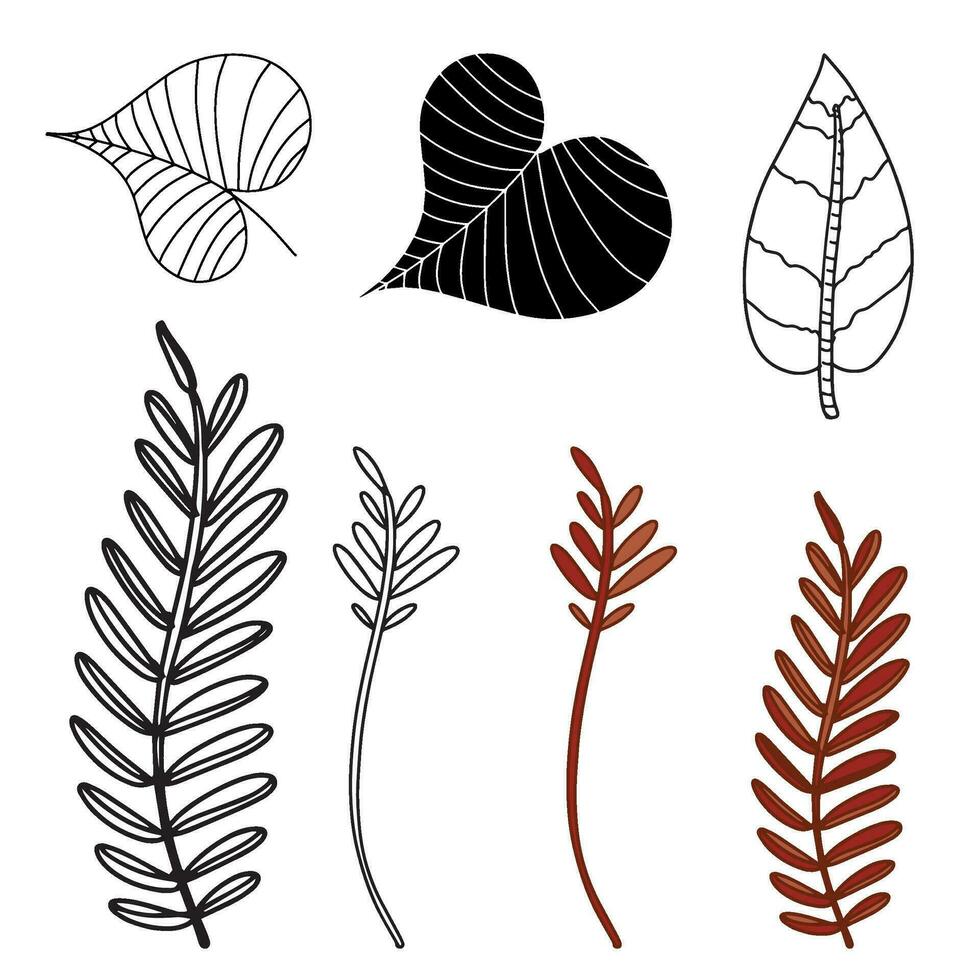 A set of leaves. Vector illustration highlighted on a white background. For nature, eco and design. Hand-drawn plants, a frame for a postcard.