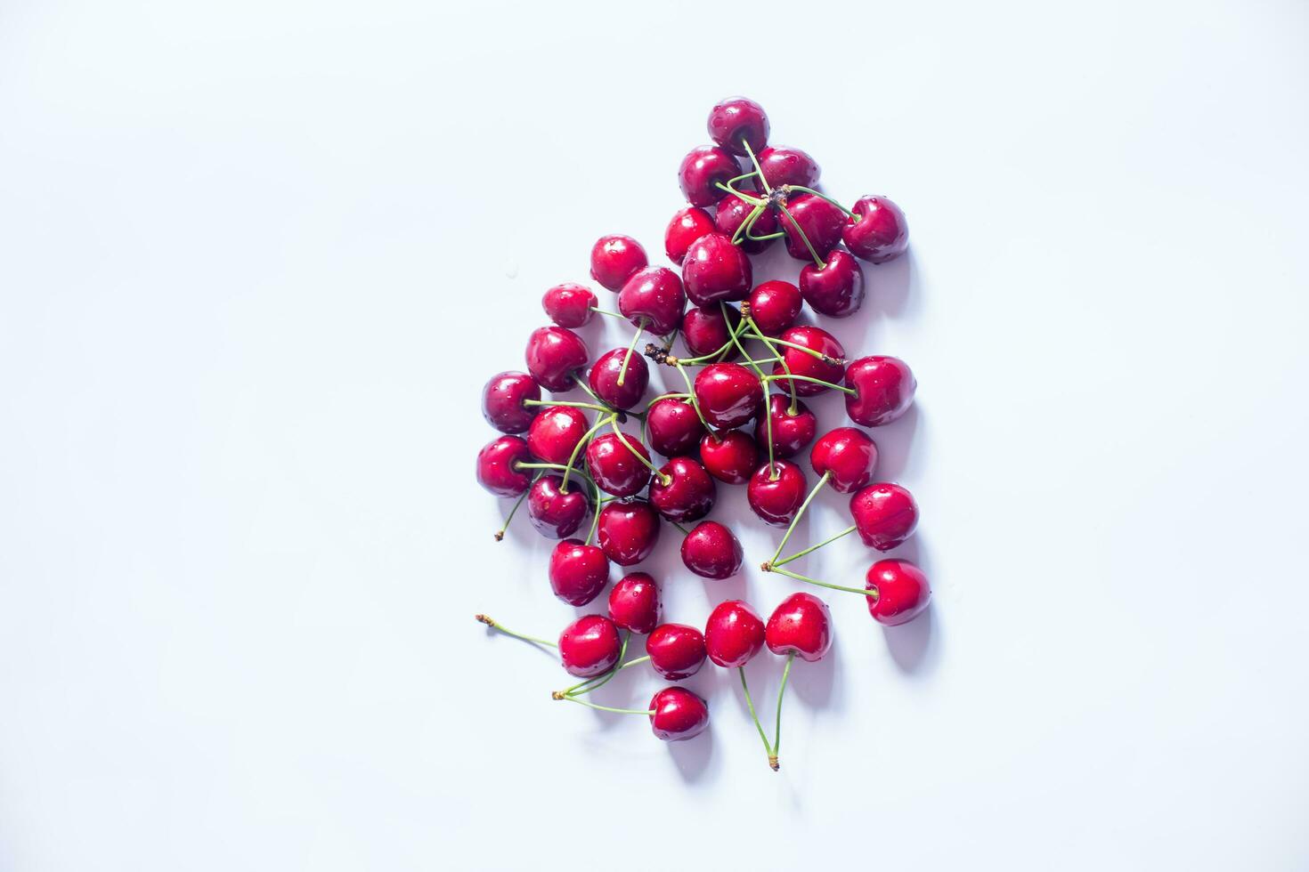 cerezas sobre un fondo blanco foto