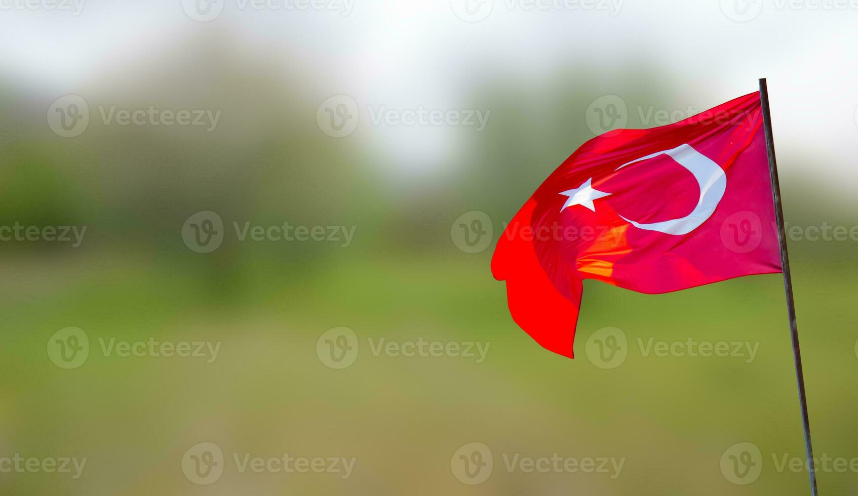 Turkish flag waving in the wind. Flag of Republic of Turkey on a green nature background. Copy space for text. August 30, April 23, October 29 celebration photo. photo