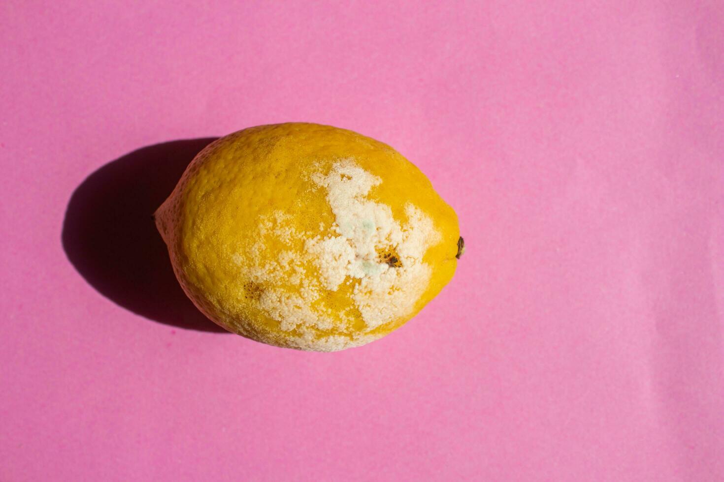 Pink Lemon Stock Photos, Images and Backgrounds for Free Download