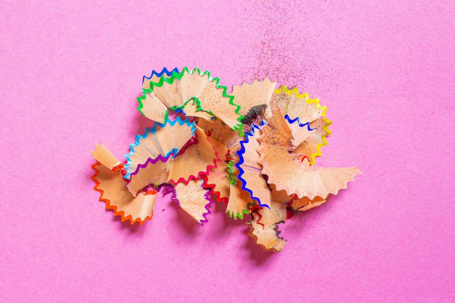 Pencil shavings isolated on a pink background. Top view, flat lay. photo
