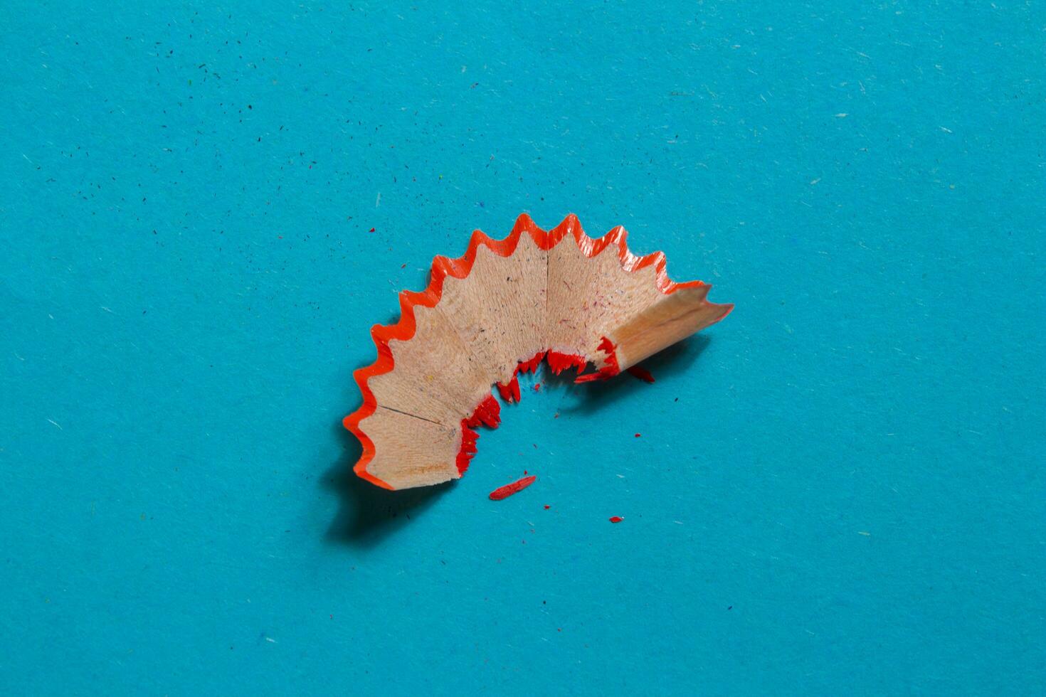 Sharpener trash on blue background, top view photo