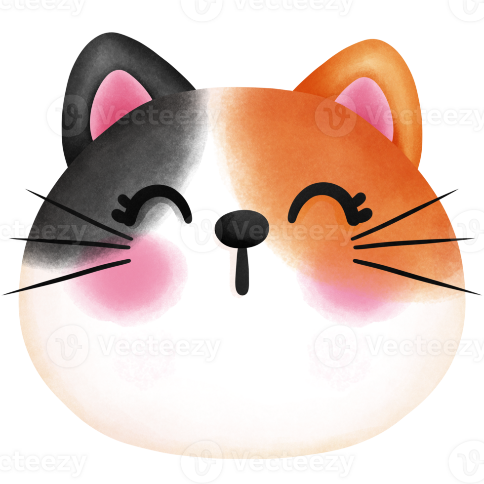 alegre aguarela fofa bebê gatinho clipart.baby chita gato ilustração. png