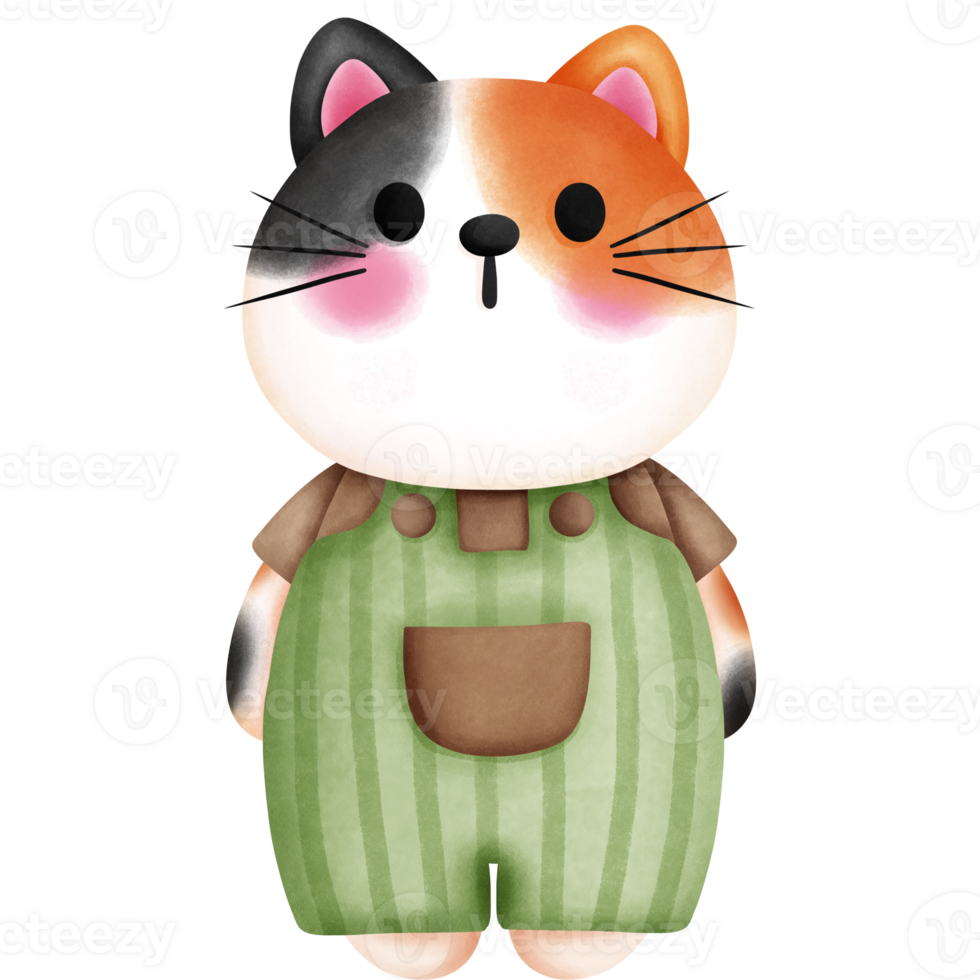 acuarela linda bebé calicó gato en vistoso atuendo clipart. guardería bebé gatito ilustración. png