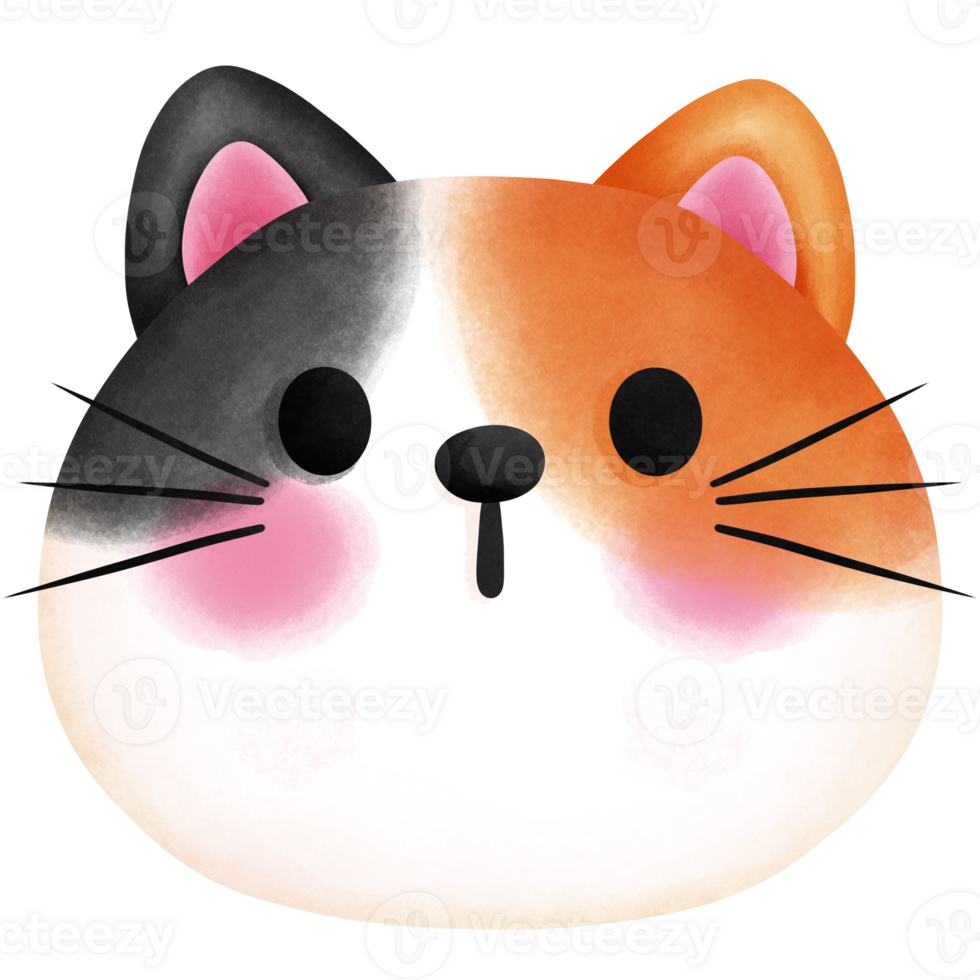 acuarela linda bebé gatito clipart.bebe calicó gato ilustración. png