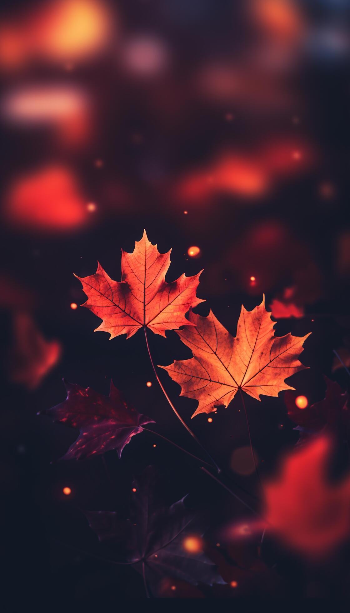 AI generated 4K colorful leaf AMOLED wallpaper 36136546 Stock Photo at