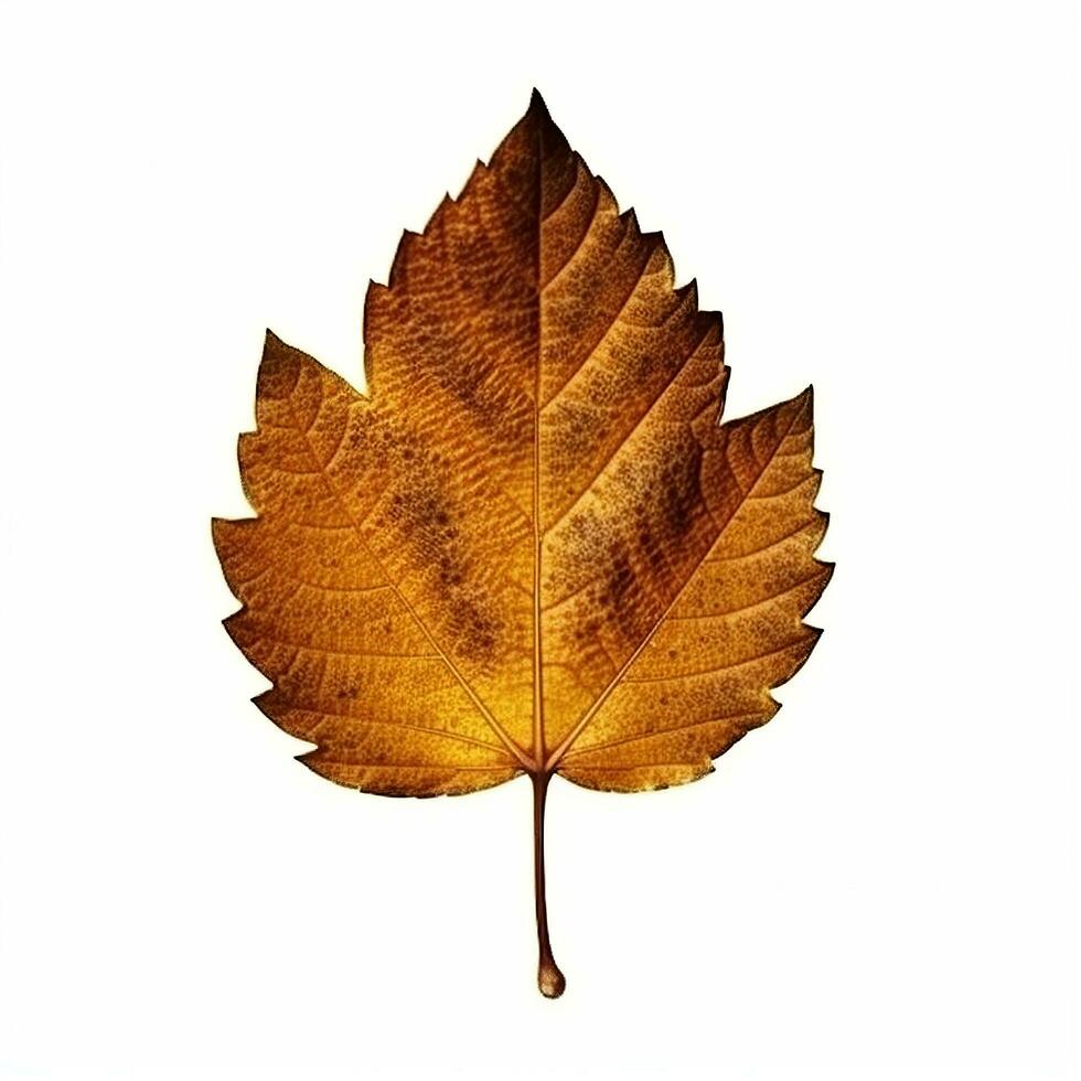 AI generated Single Spring autumn maple leaf with white background Created with generative Ai photo