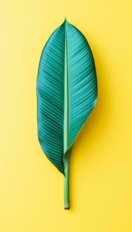 AI generated 4K colorful leaf AMOLED wallpaper photo