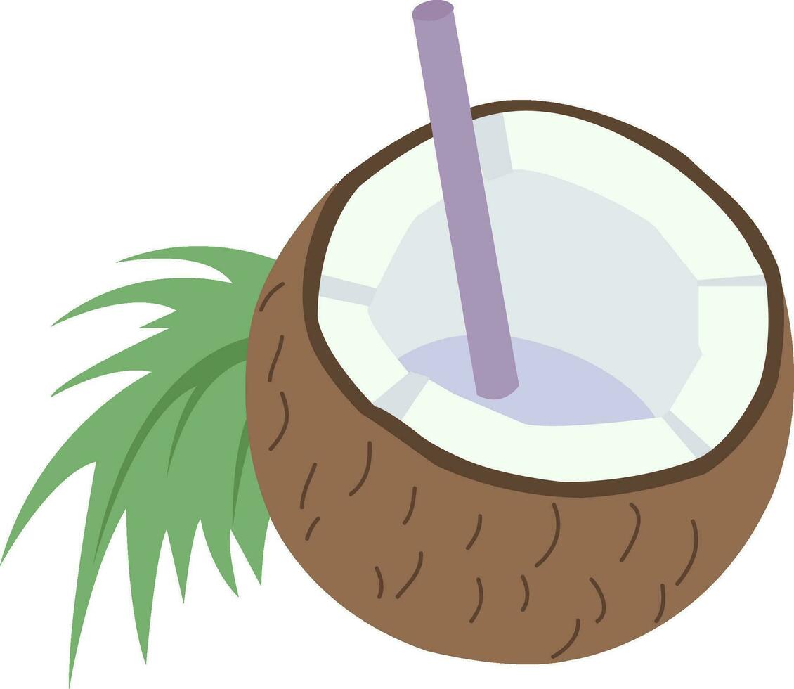 vector hand drawn coconut cocktail