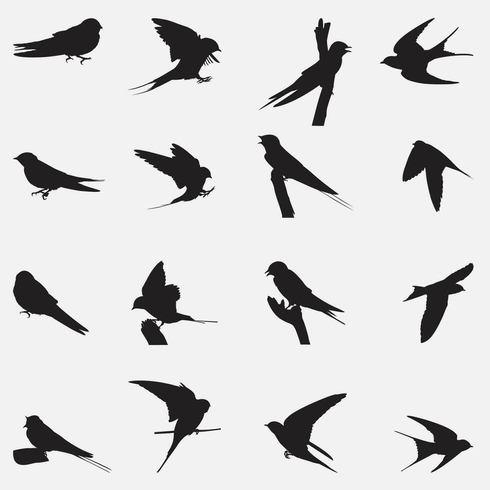 Barn Swallow bird Silhouette vector