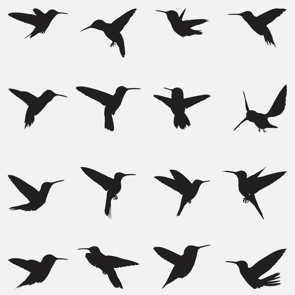 hummingbirds set silhouette vector