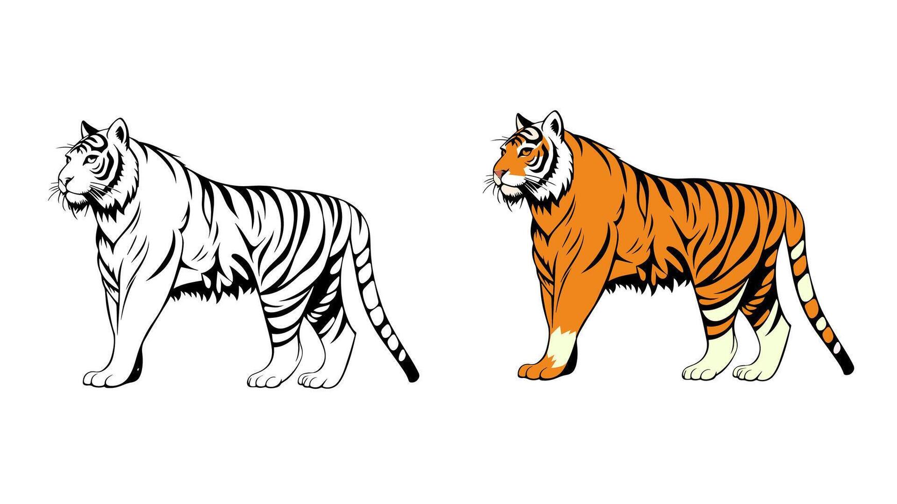 Tiger for coloring concept vector