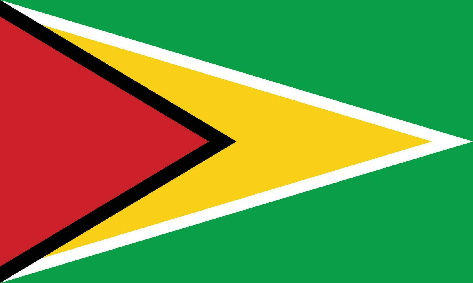Flag of Guyana.National flag of Guyana vector
