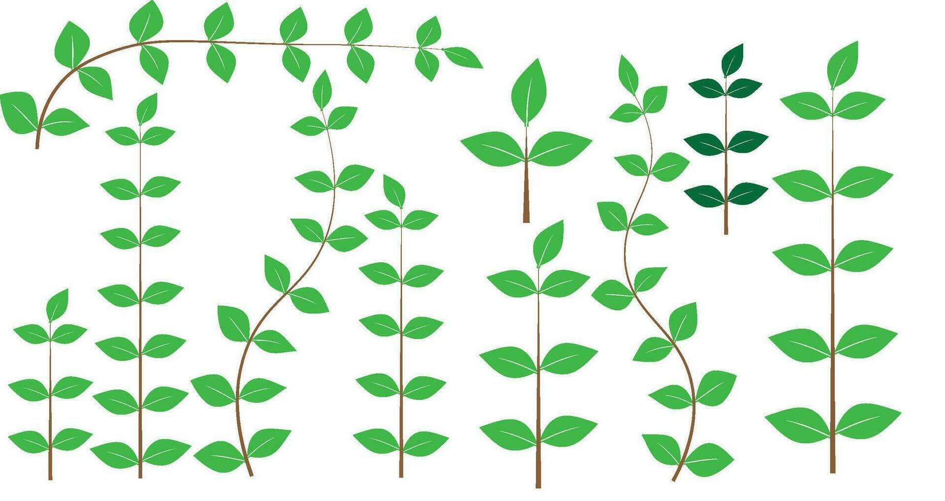 leaf with branch vector