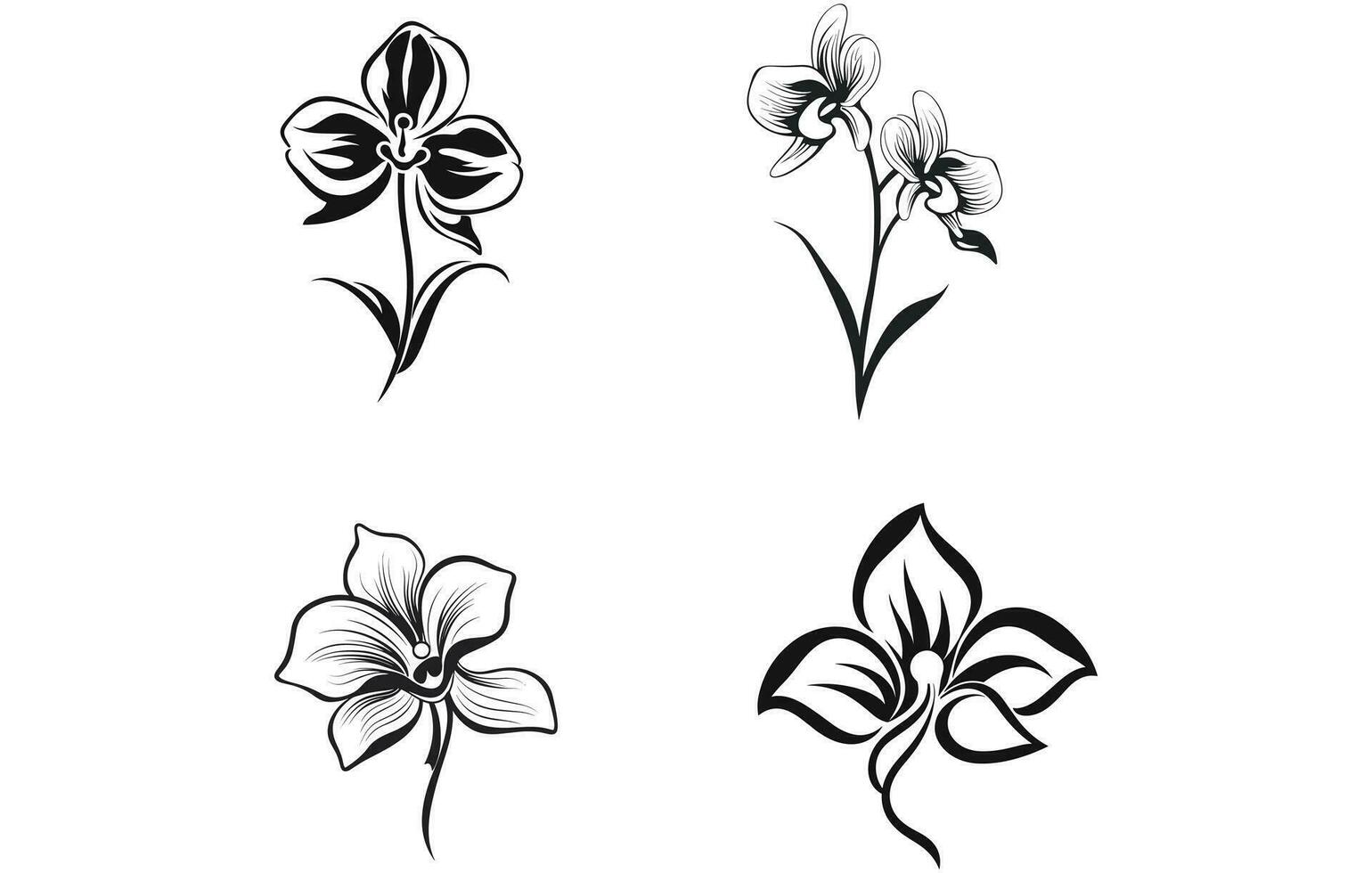 Set of Orchid flowers. Black silhouettes of flowers vector