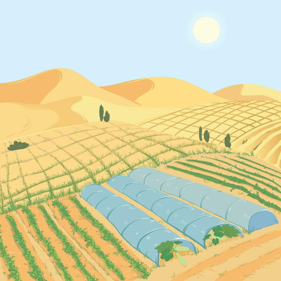 Landscape with vegetable beds in the desert. Restoring land fertility and combating desertification. vector