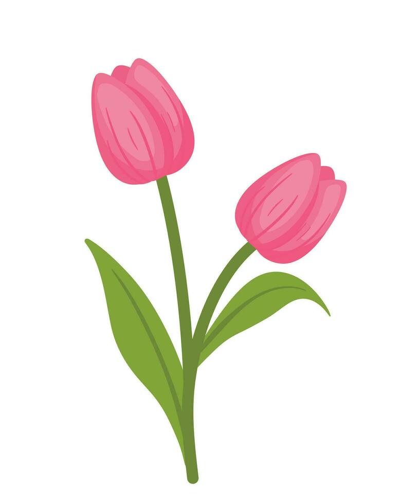 rosado tulipán flor planta vector ilustración