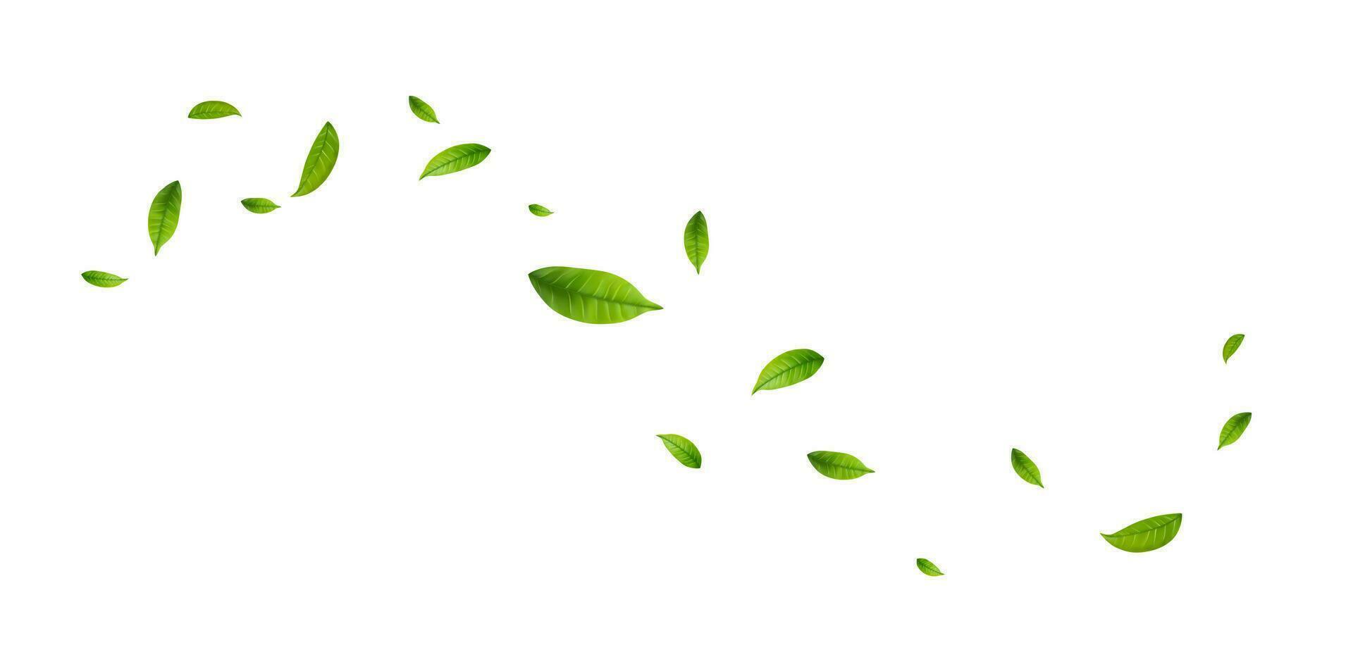 Green leaves fly with a gust of wind. vector