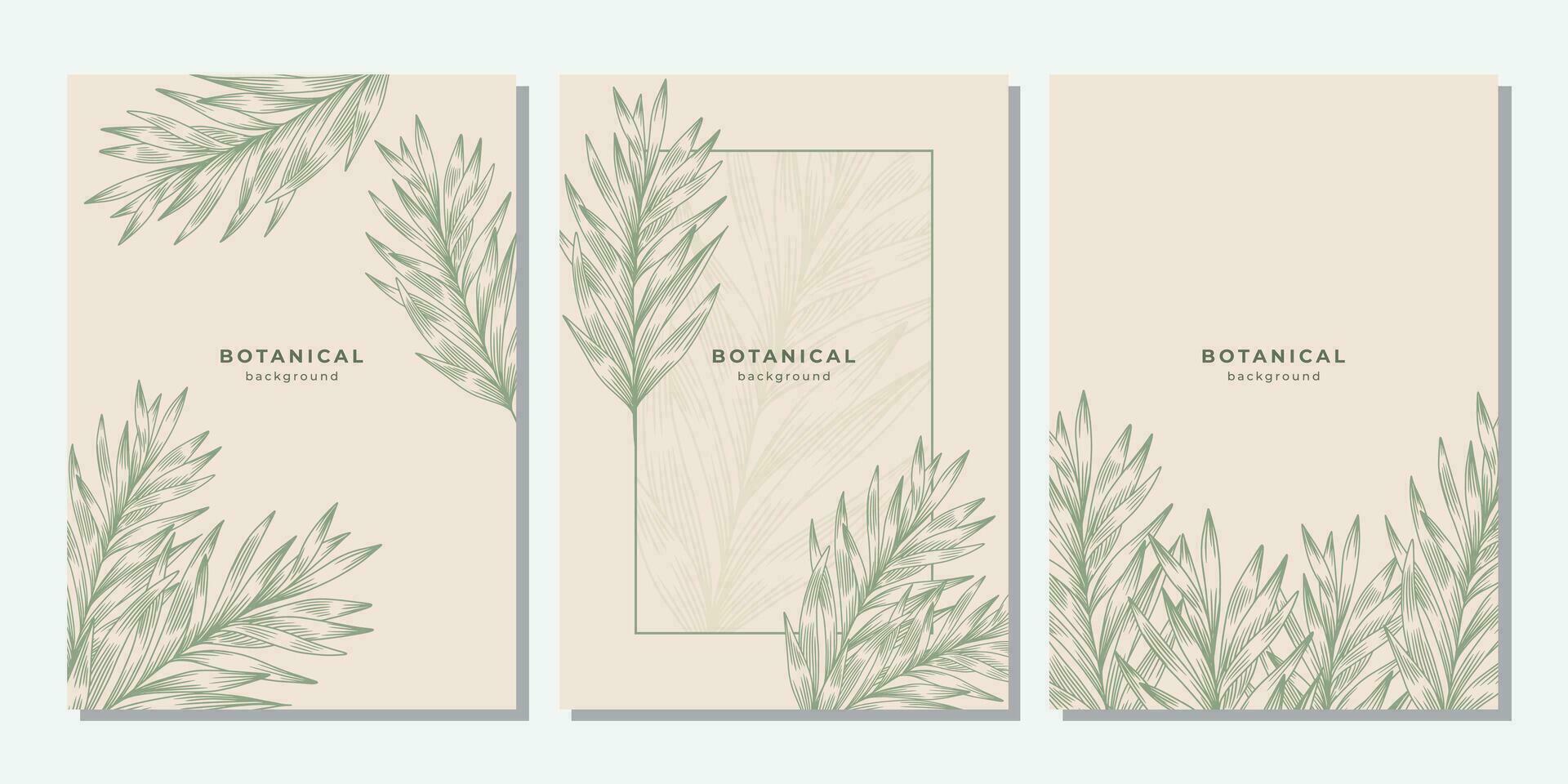 Set of tropical templates with linear fern texture. Light green line palm leaf on beige background. Botanical line art. vector