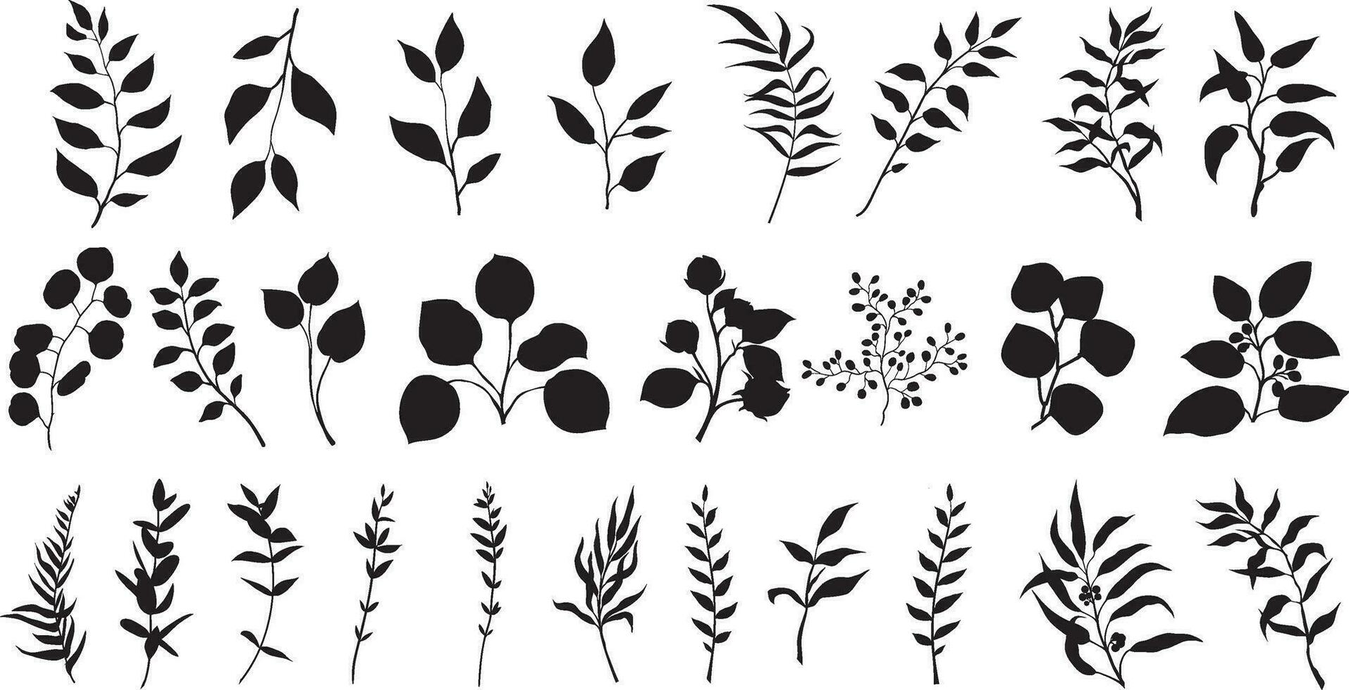 Botanical silhouette drawings. Hand drawn tree branches with leaves. Set of tree branches, eucalyptus, palm leaves, herbs and flowers silhouettes. vector