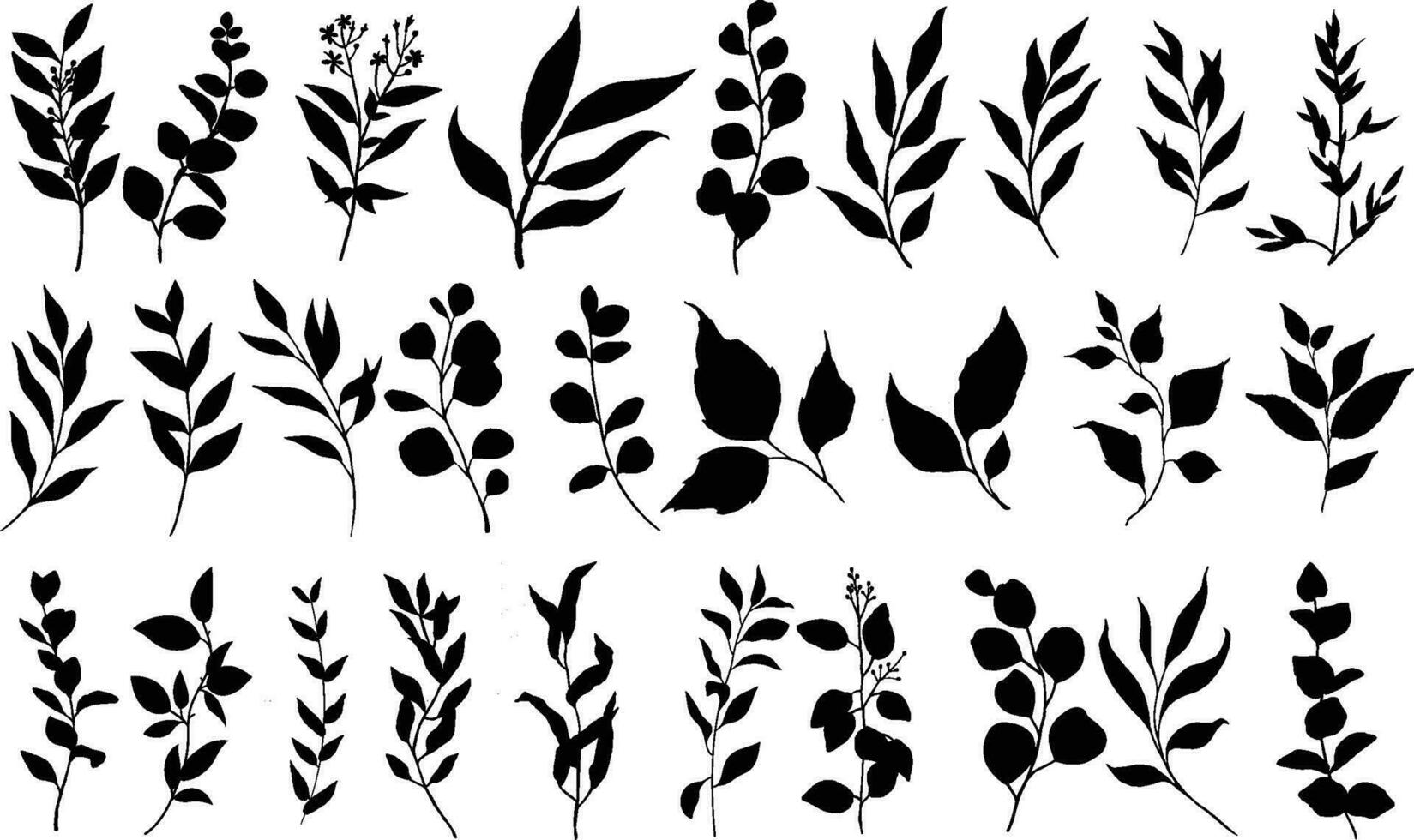 Botanical silhouette drawings. Hand drawn tree branches with leaves. Set of tree branches, eucalyptus, palm leaves, herbs and flowers silhouettes. vector
