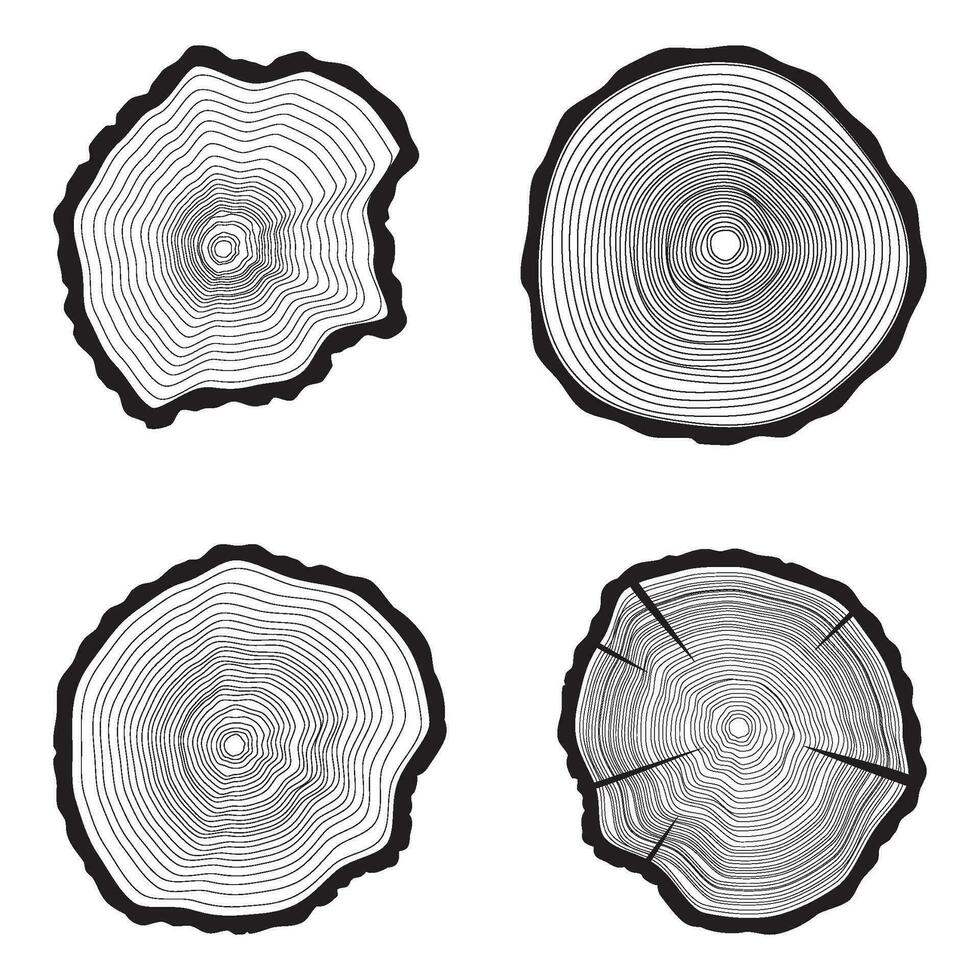conjunto árbol anillos antecedentes. anual árbol vector