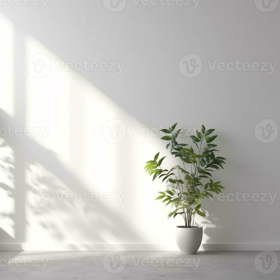 AI generated interior room with white wall, shelf and plant. photo