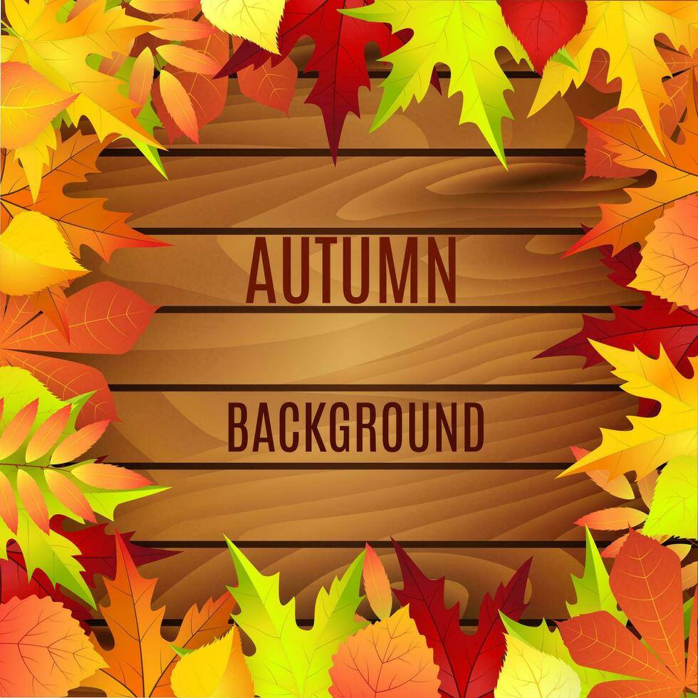 autumn Beautiful background vector