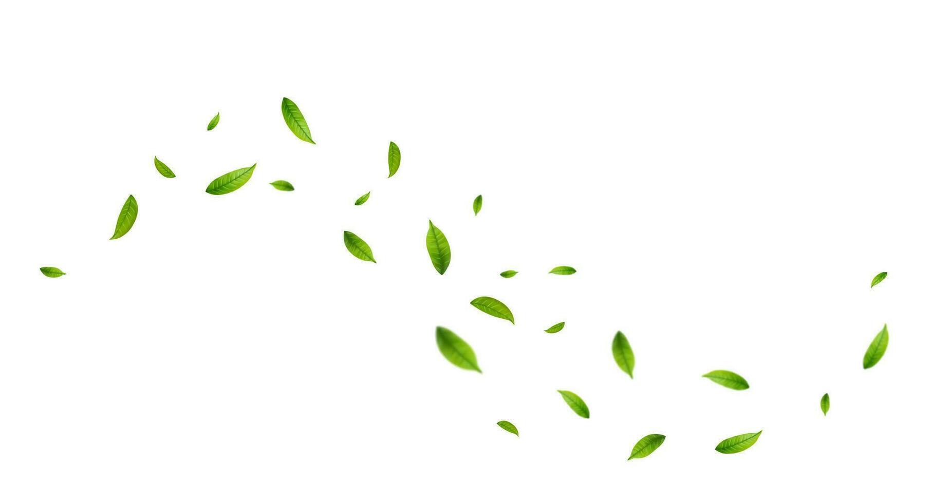 Green leaves fly with a gust of wind. vector