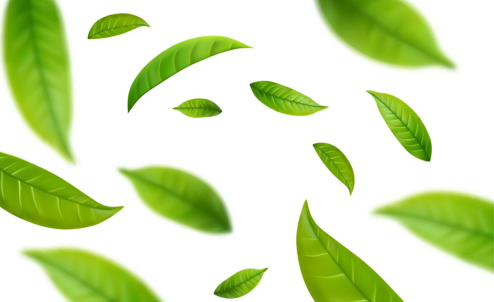 Realistic green tea leaves in motion vector