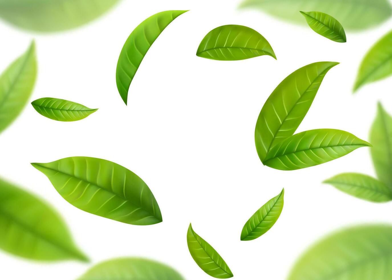 Realistic green tea leaves in motion vector