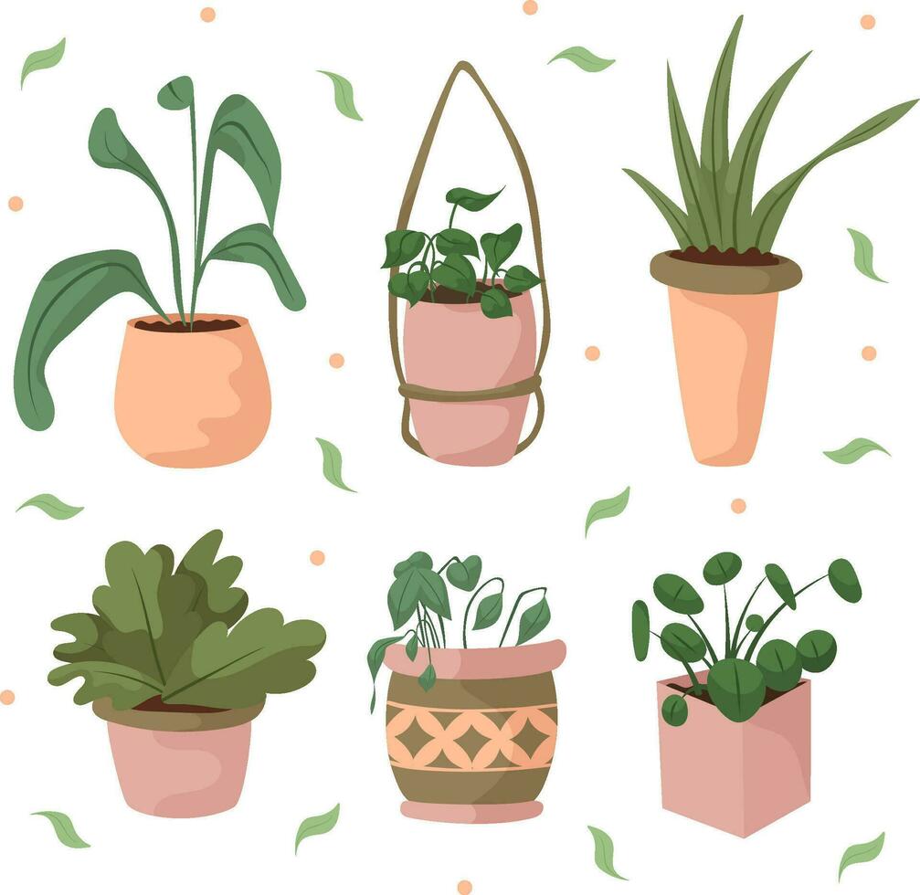 Hand draw set of indoors plants isolated on white. Pink, green and peach fuzz colors. vector