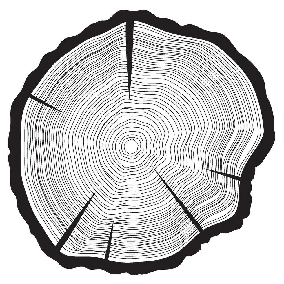 Tree rings background. Annual tree vector