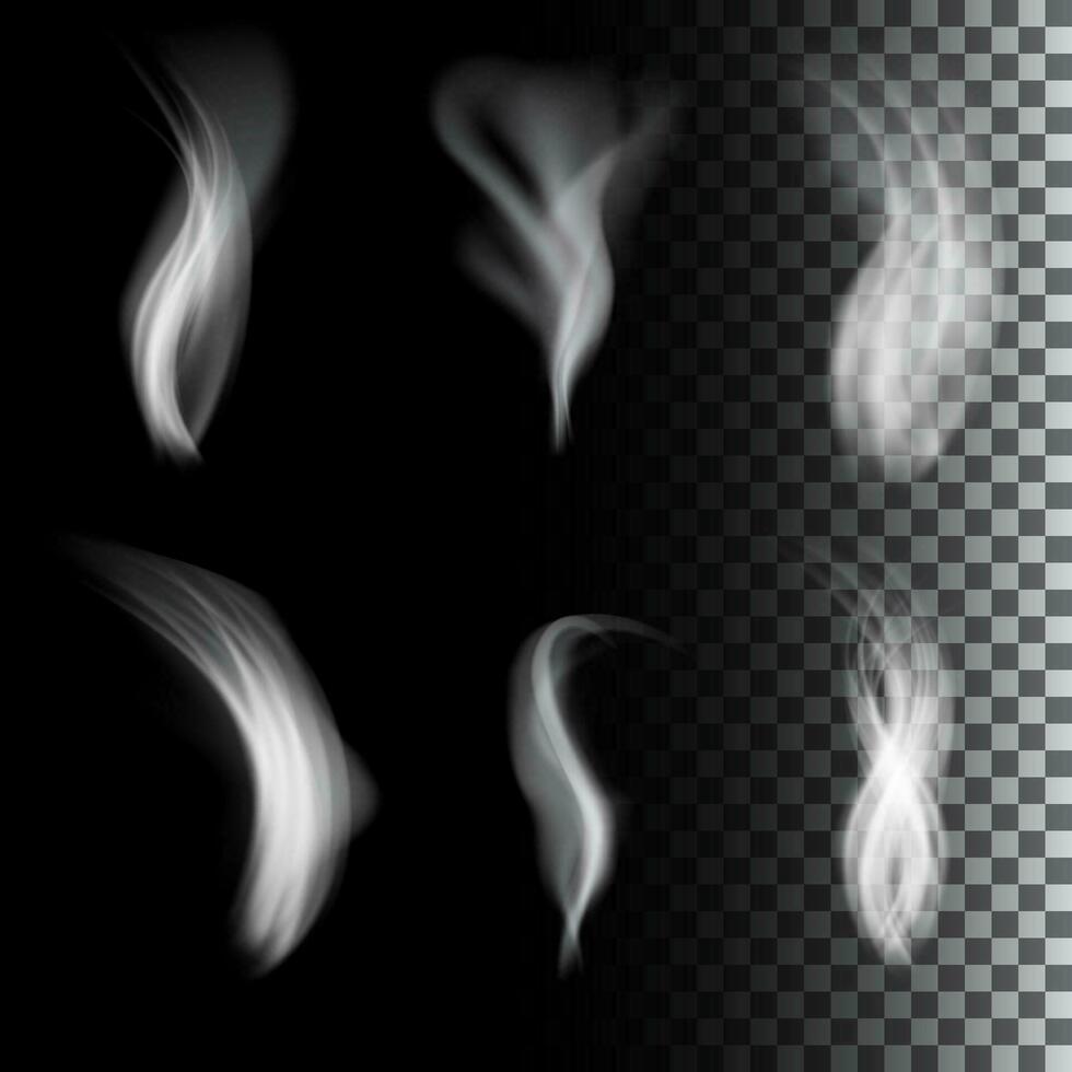 realistic smoke on black background vector