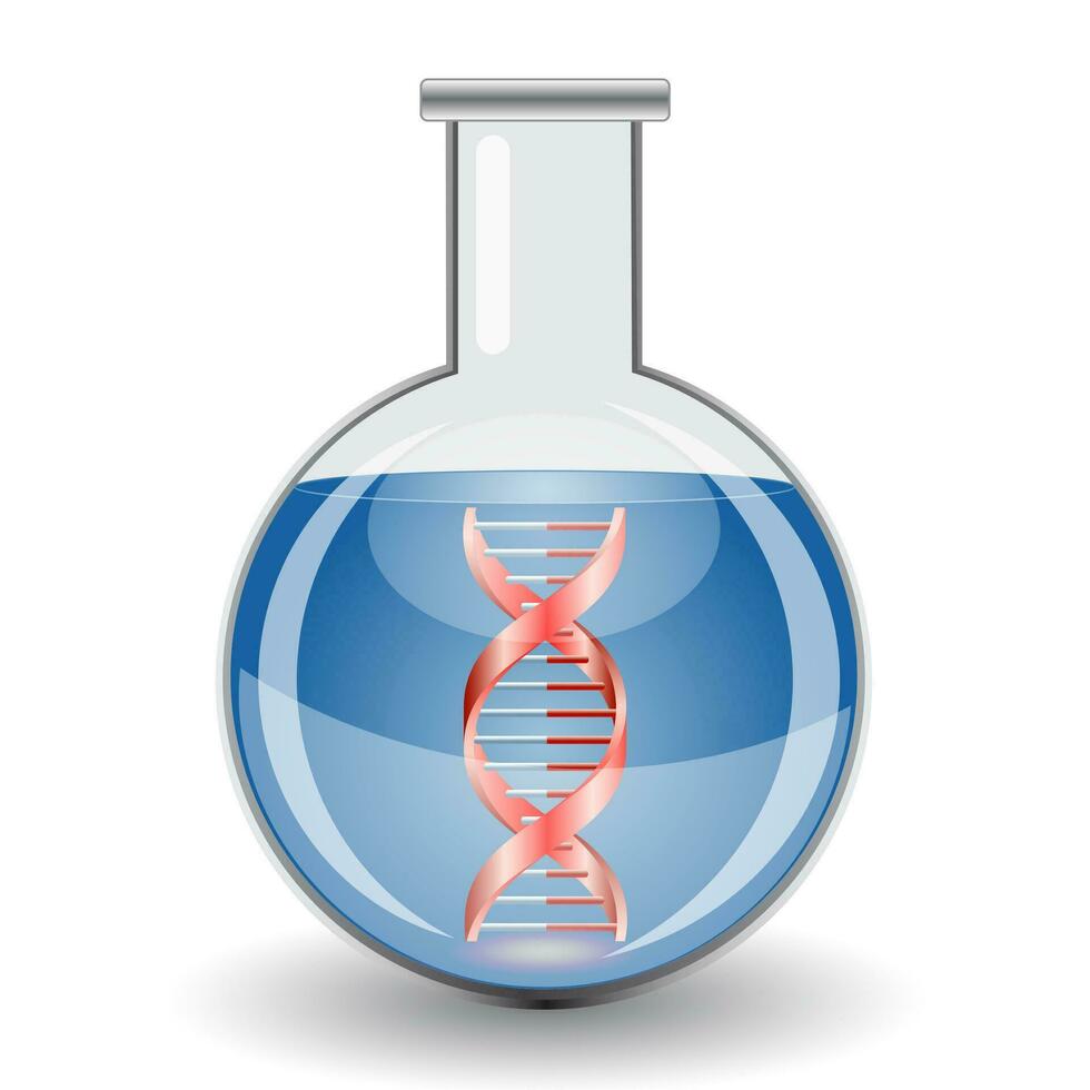 Flask with blue liquid and DNA sign. vector