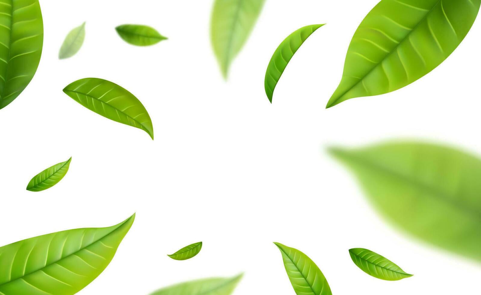 Realistic green tea leaves in motion vector