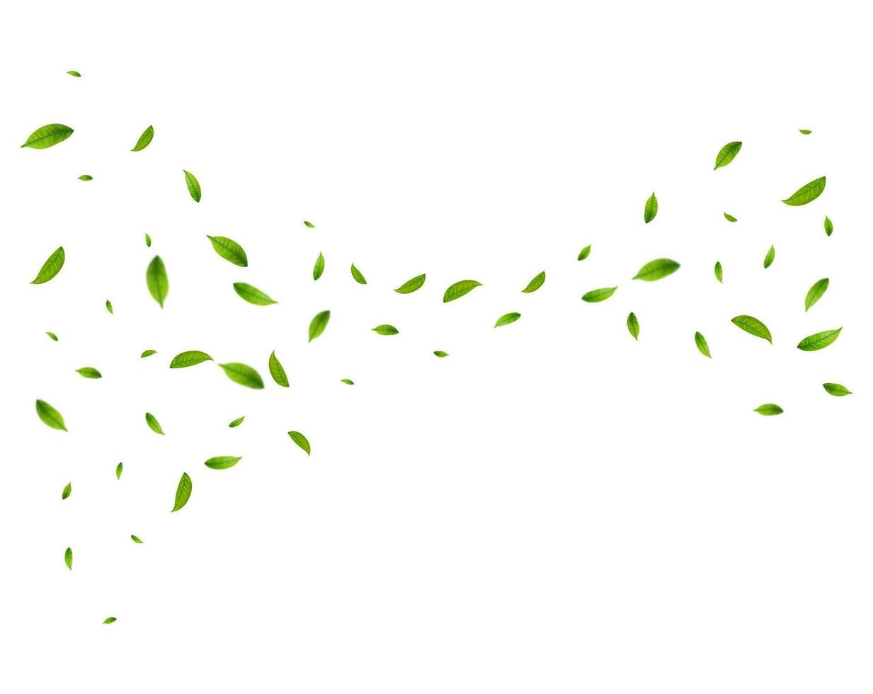 Realistic green tea leaves in motion vector