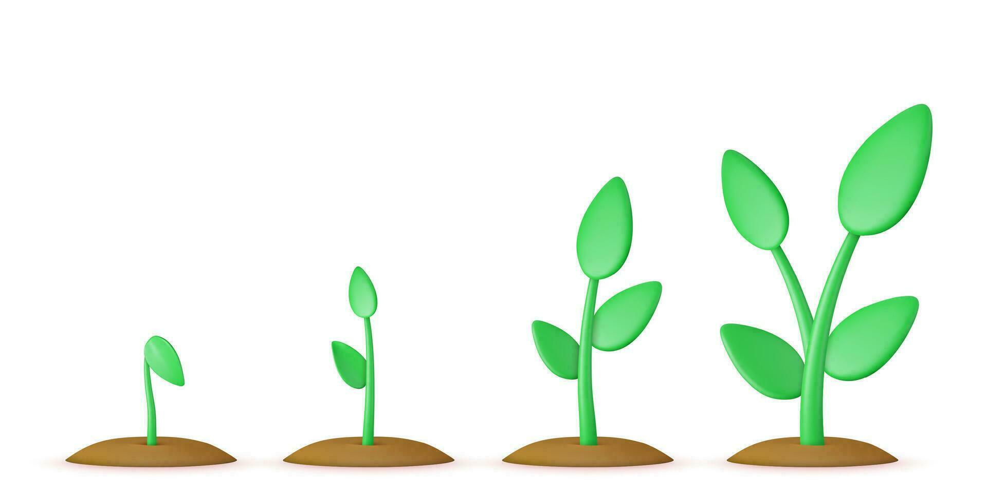 3d sprouts. Phases plant growing. vector