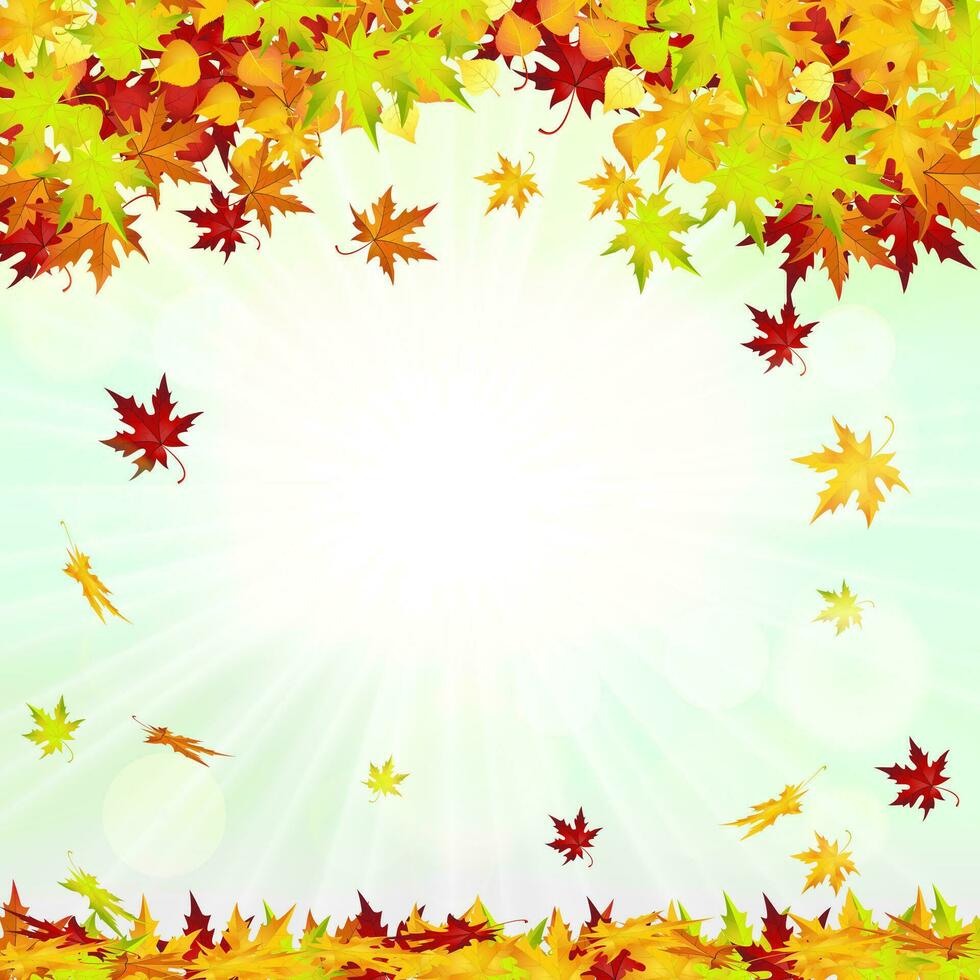 Autumn Frame With Falling Leaves vector