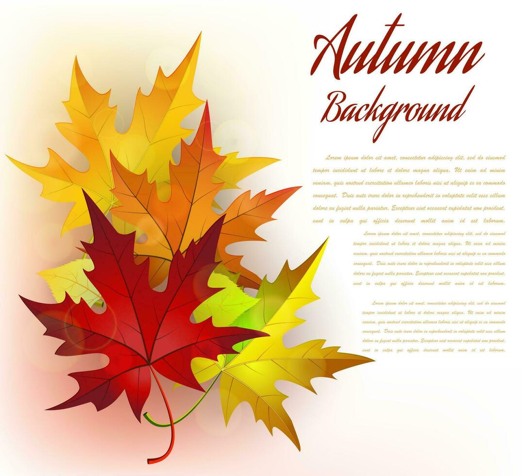otoño marco con hojas vector