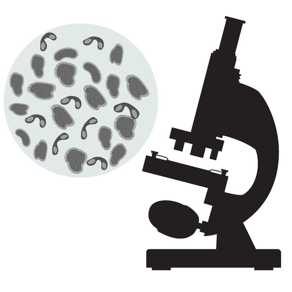 negro médico microscopio y bacteria. vector