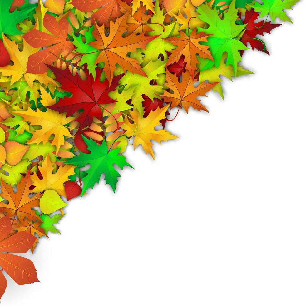 vector antecedentes con vistoso otoño hojas