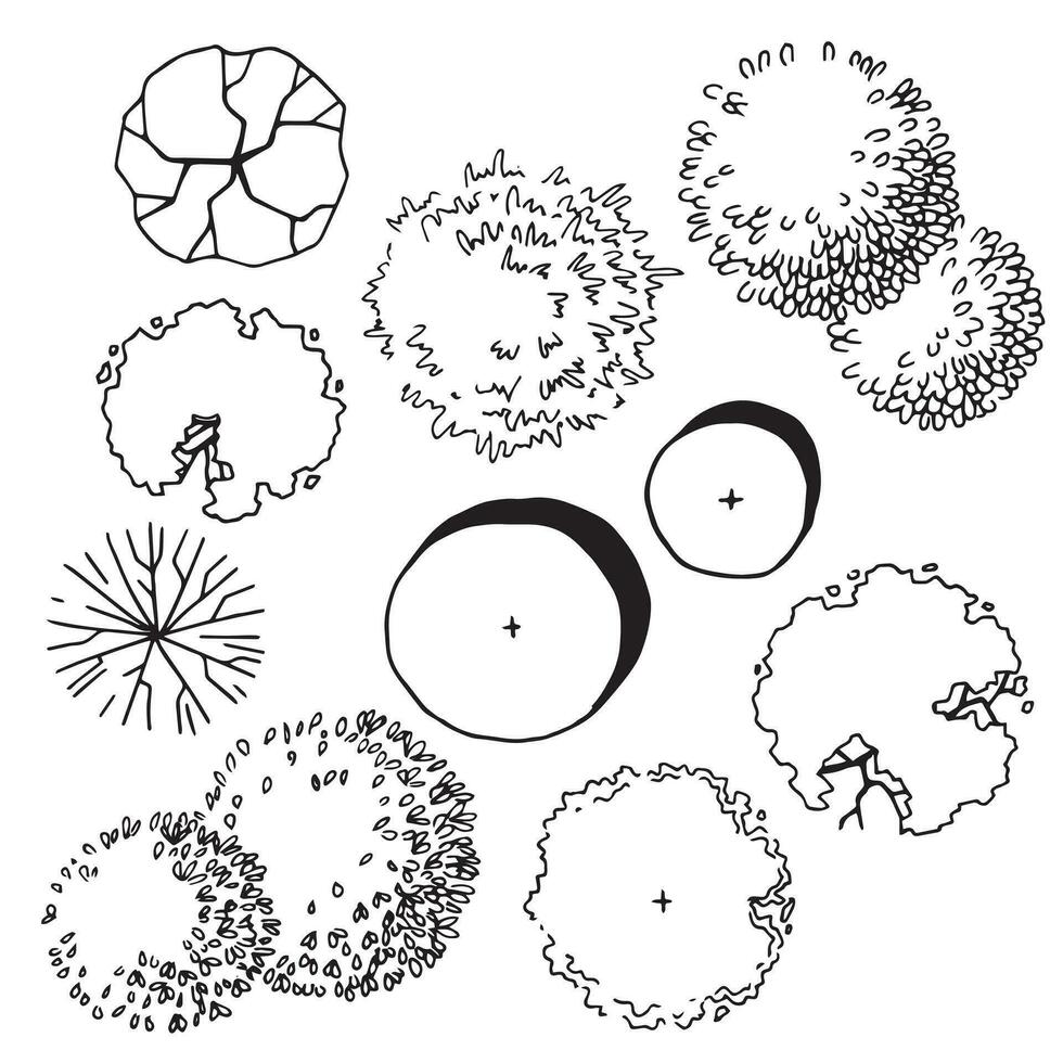 set of trees, hand drawing, top view. architectural ink drawing, vector. vector