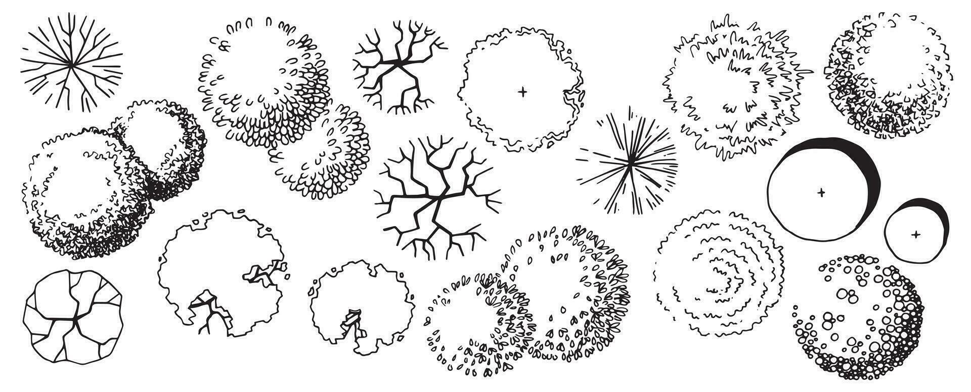 set of trees, hand drawing, top view. architectural ink drawing, vector. vector