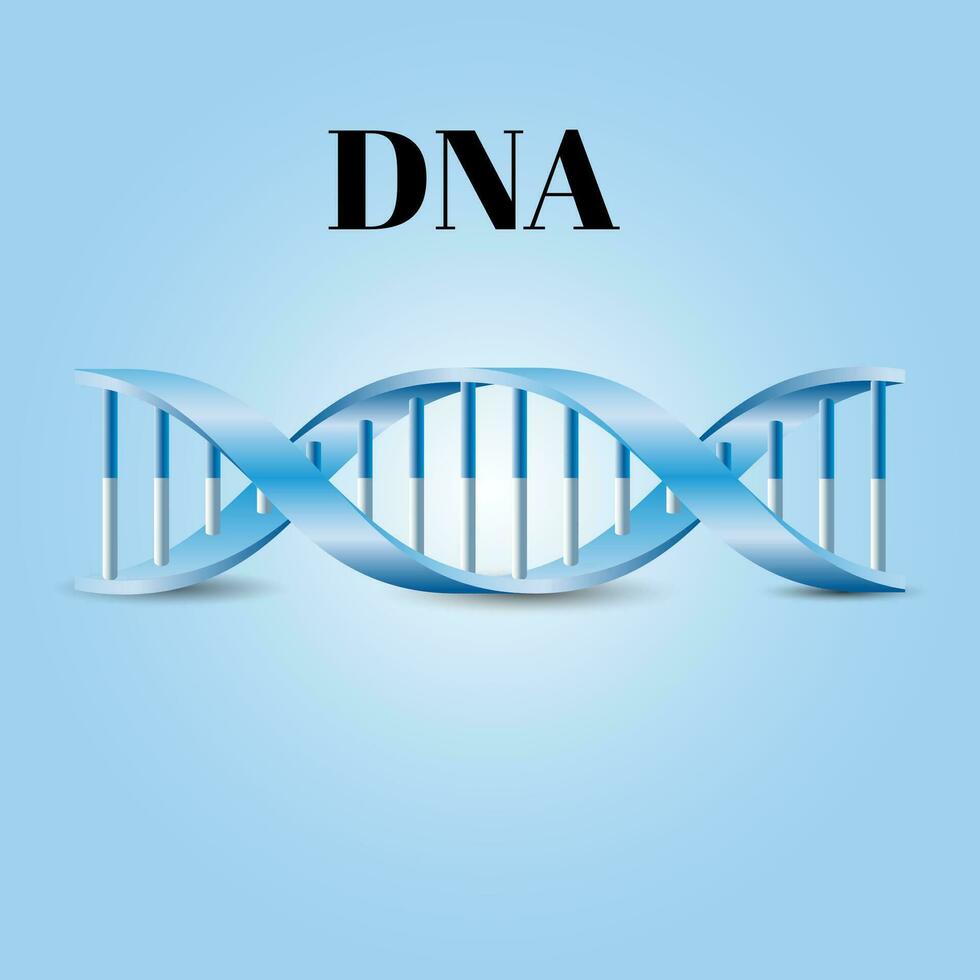 DNA symbol vector