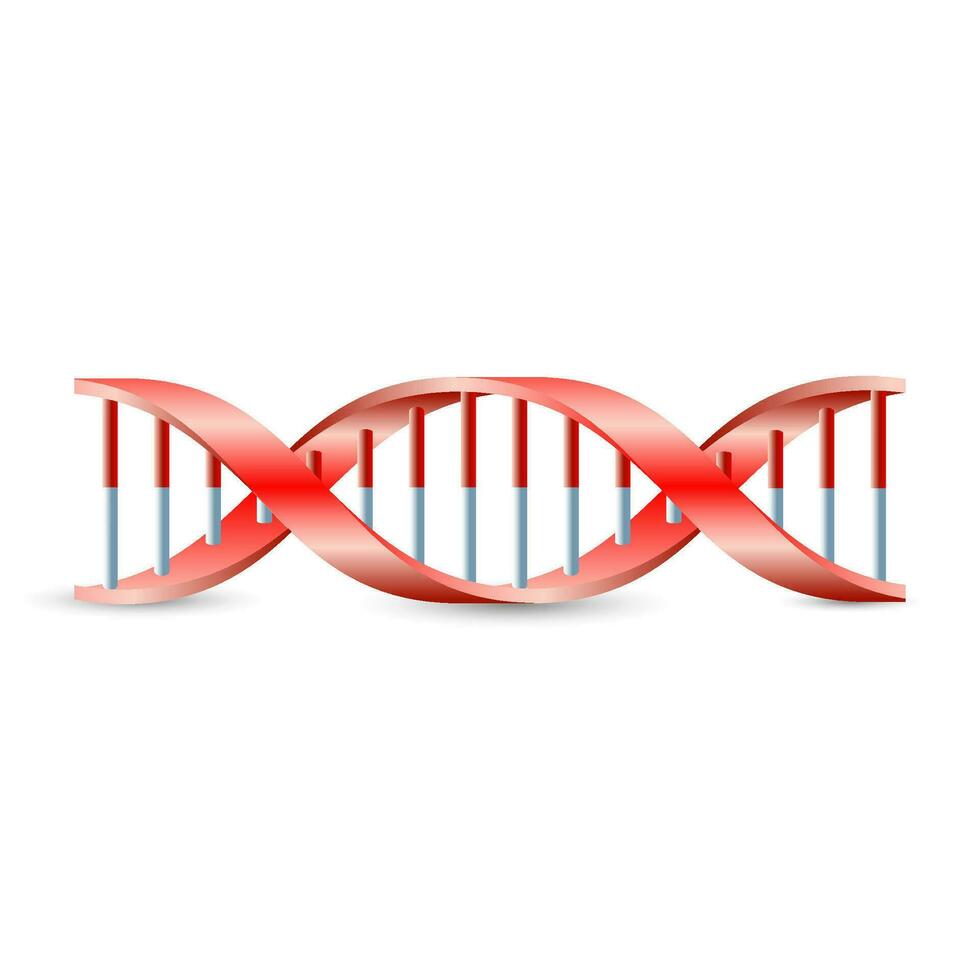 DNA symbol vector